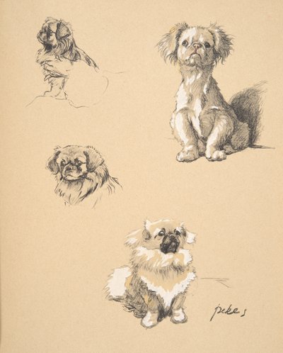 Pekes, 1930, Illustrationen aus seinem Skizzenbuch verwendet für 